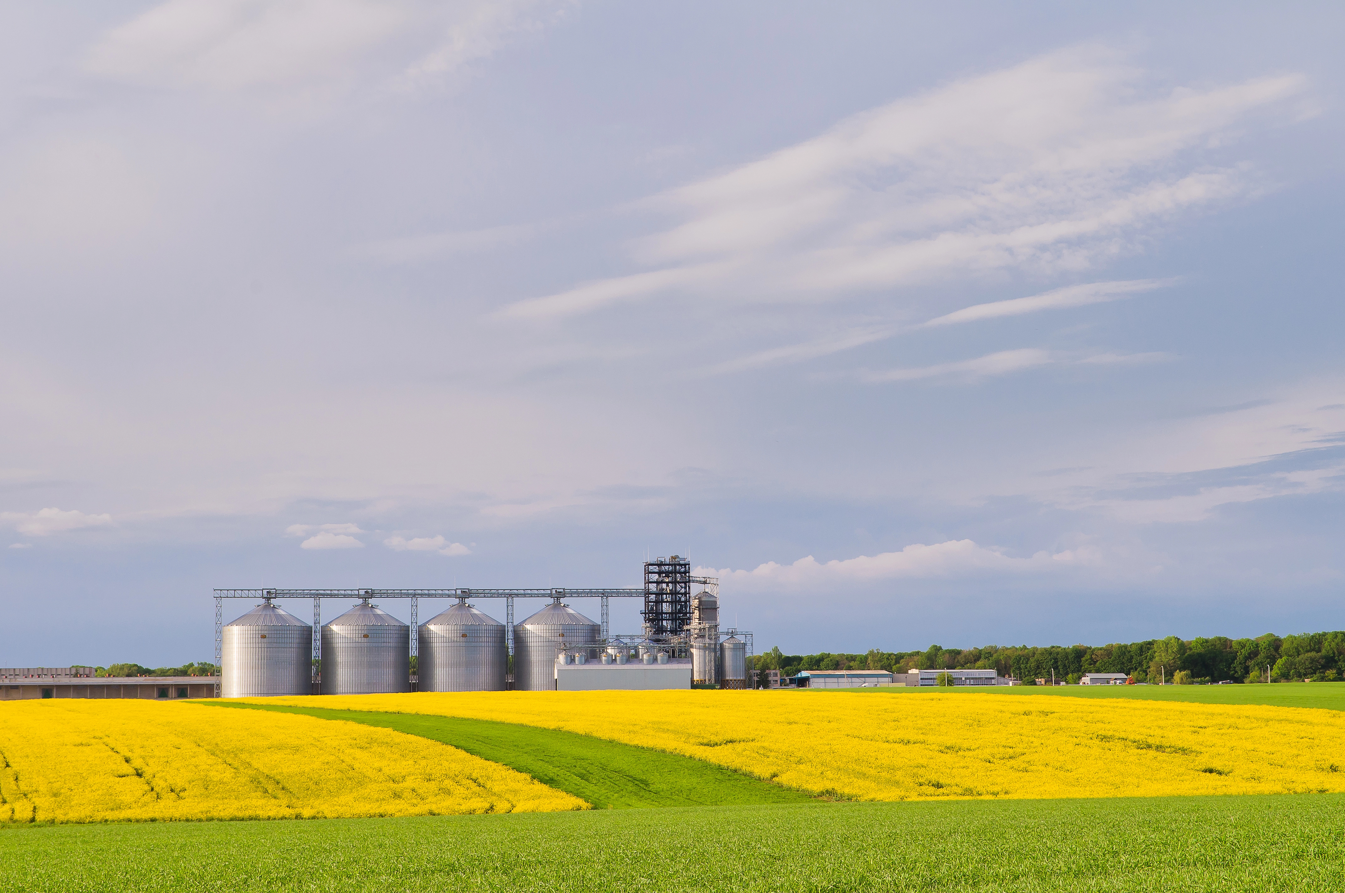 Four grain tanks