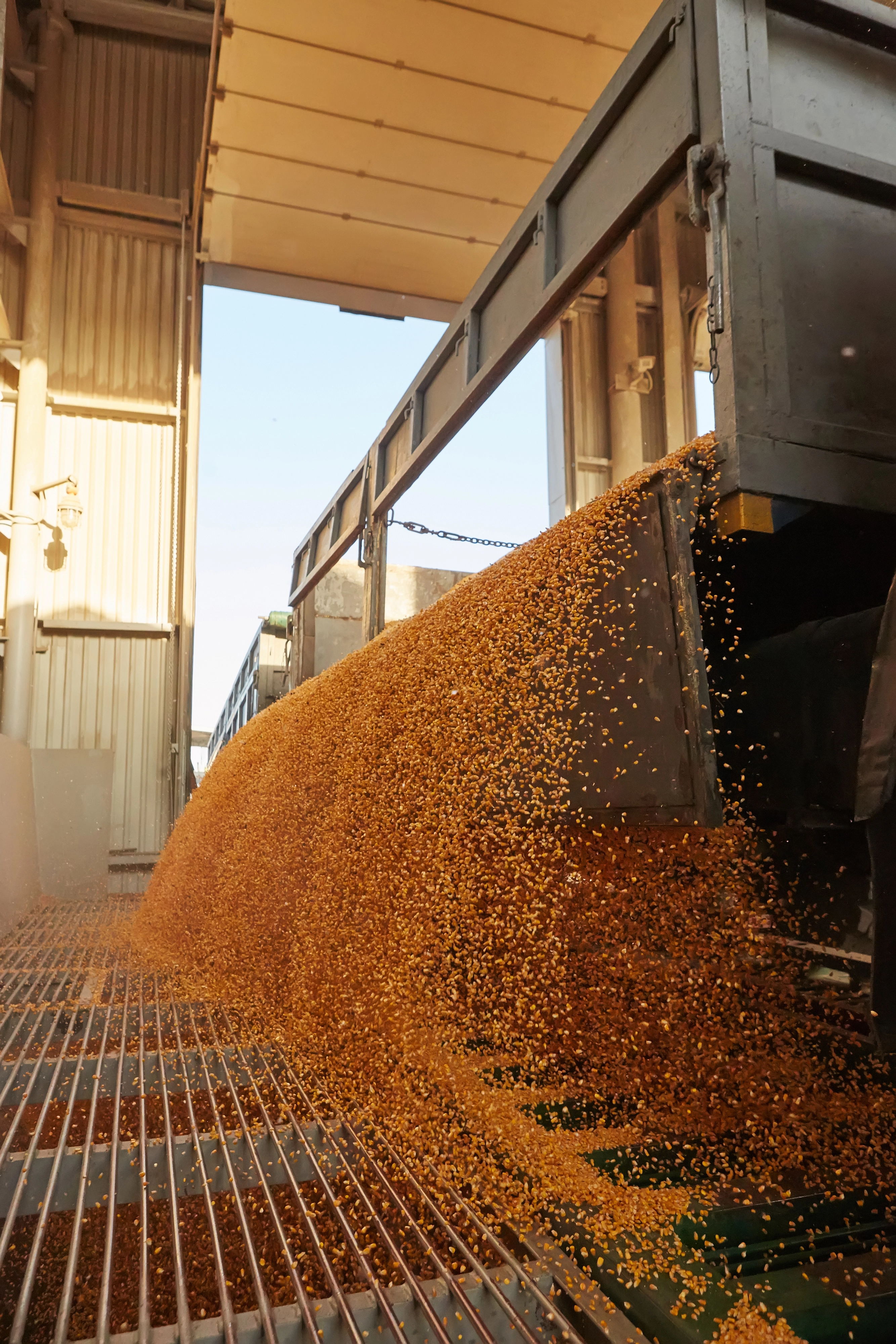 Grain Storage
