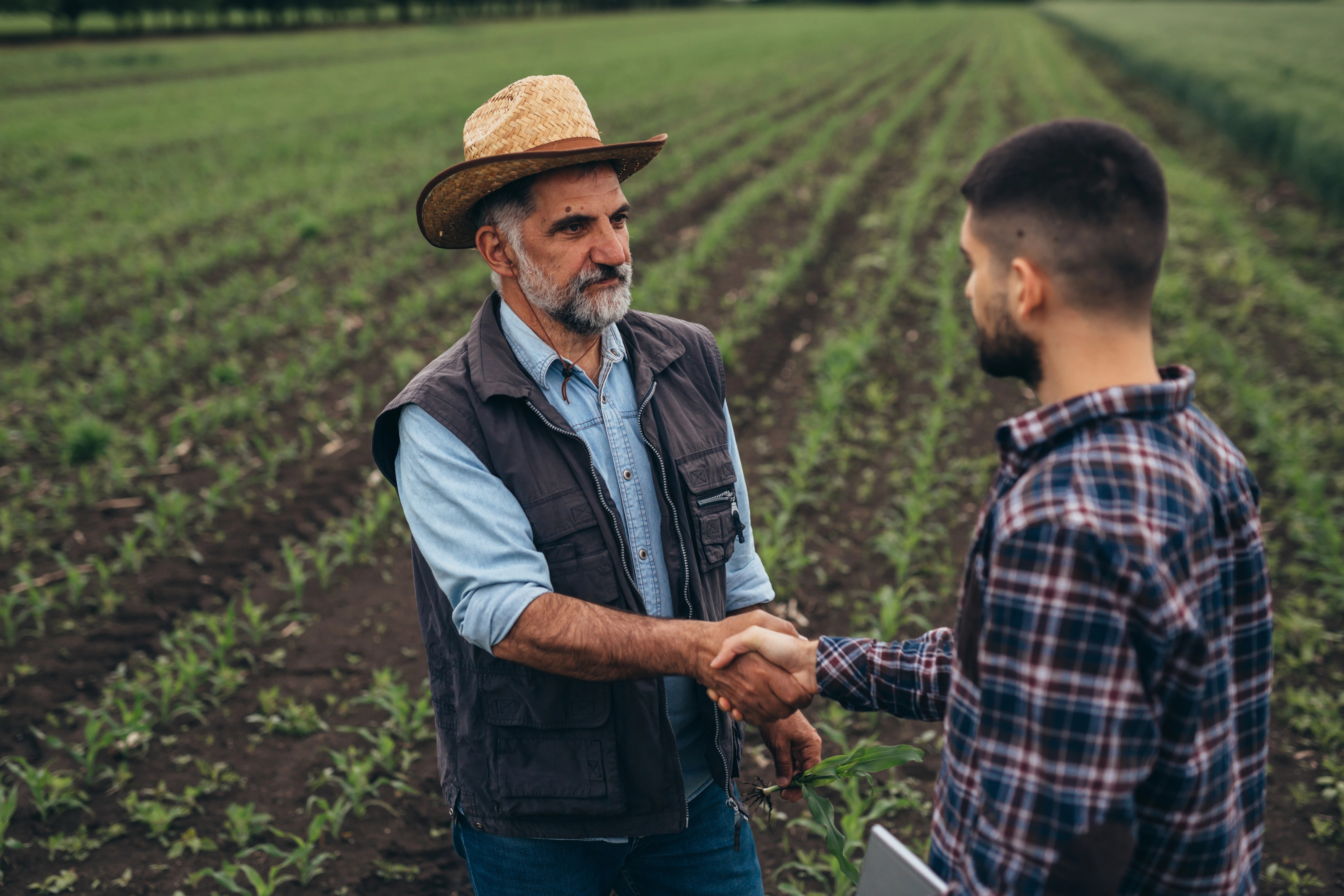 Farmers