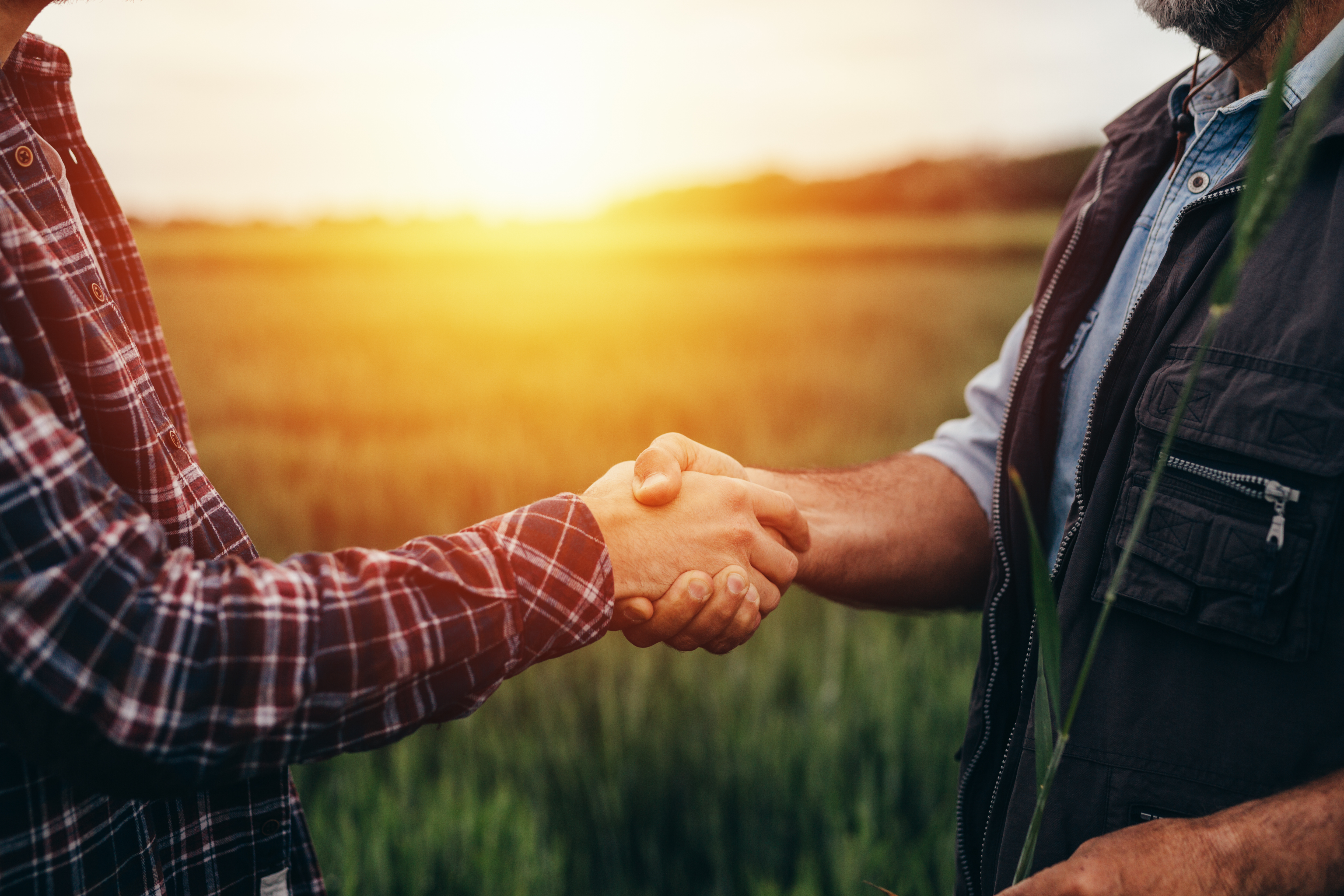 Farmers shaking hands
