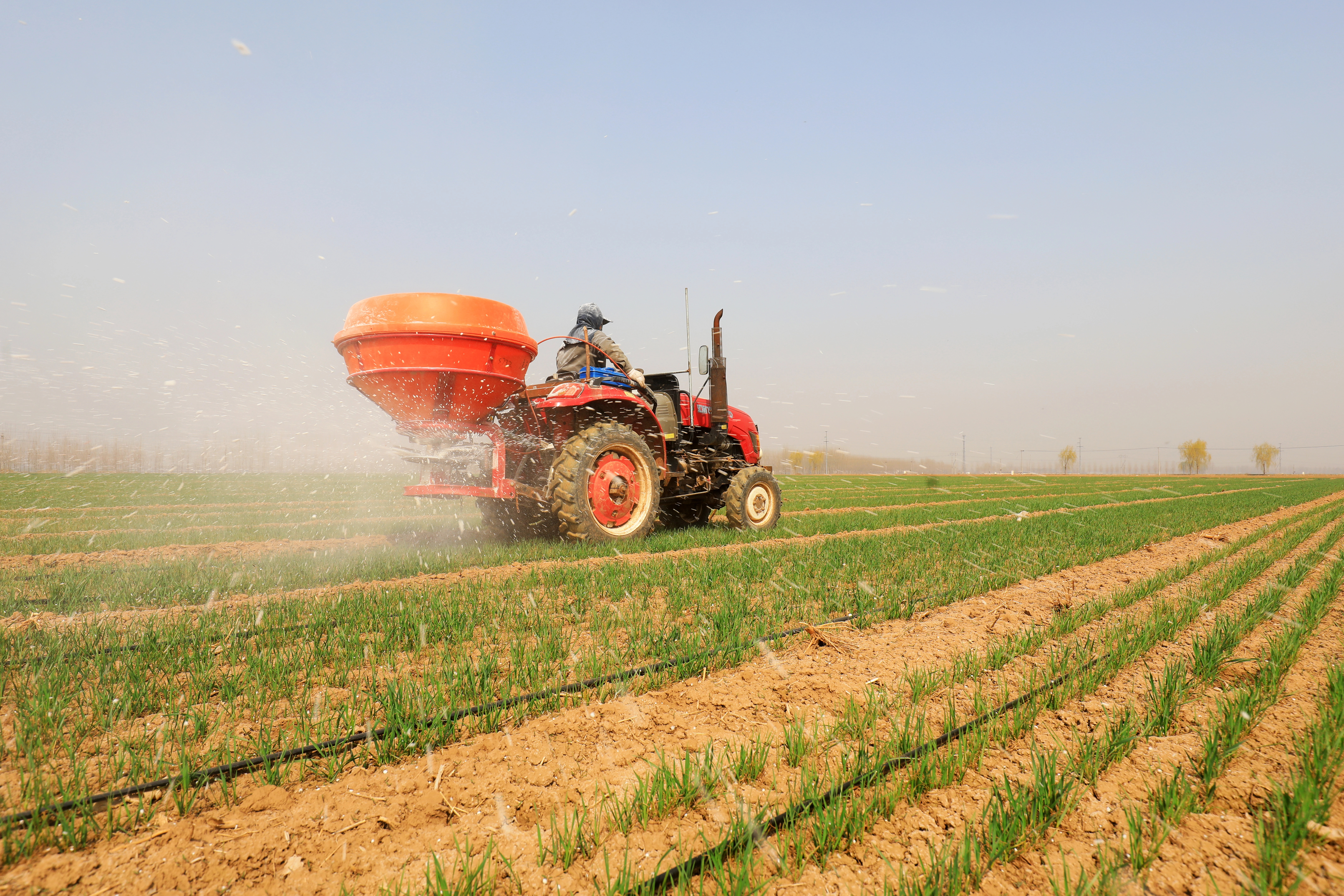 fertilizer spray