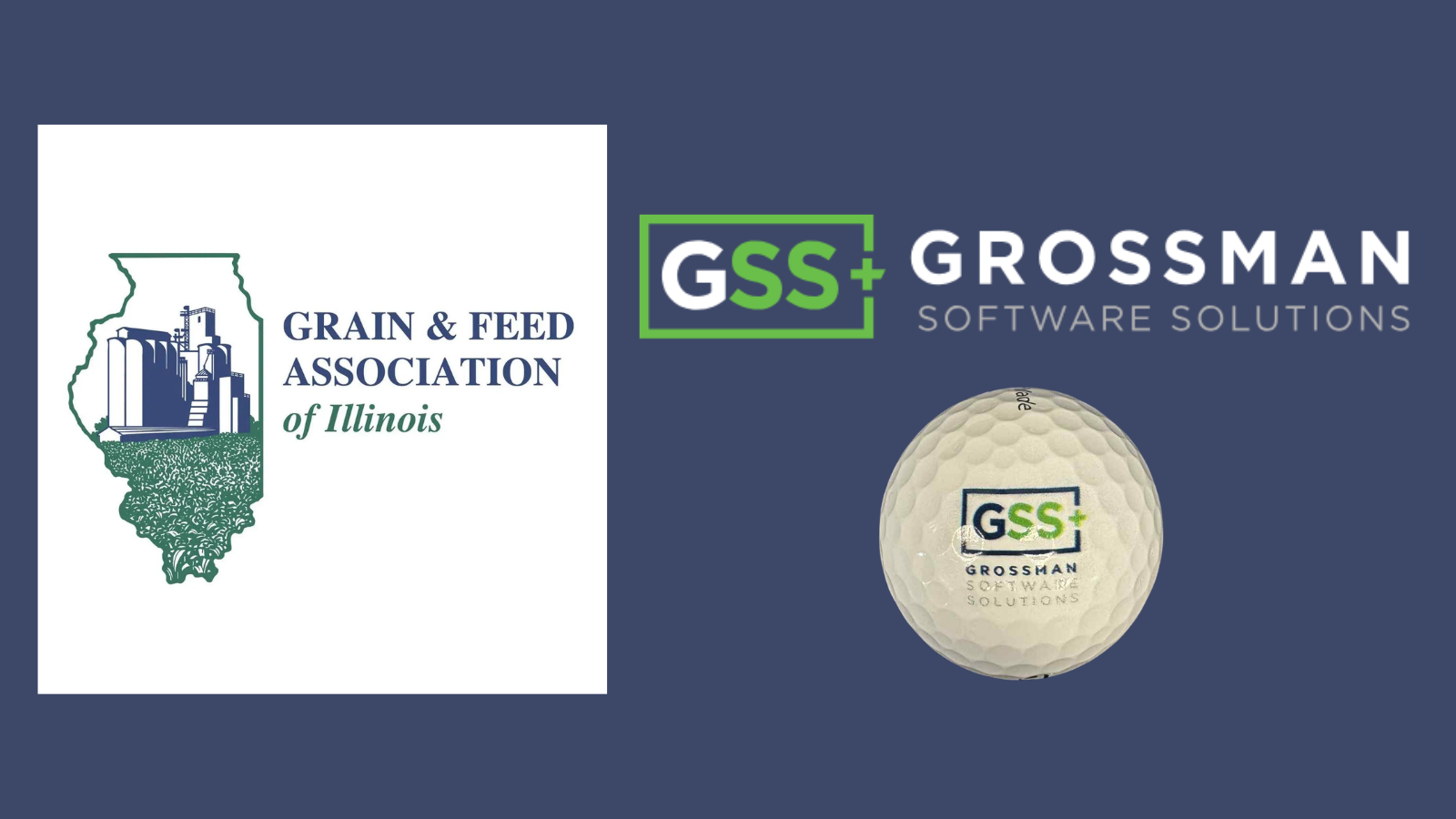GFAI and GSS logos