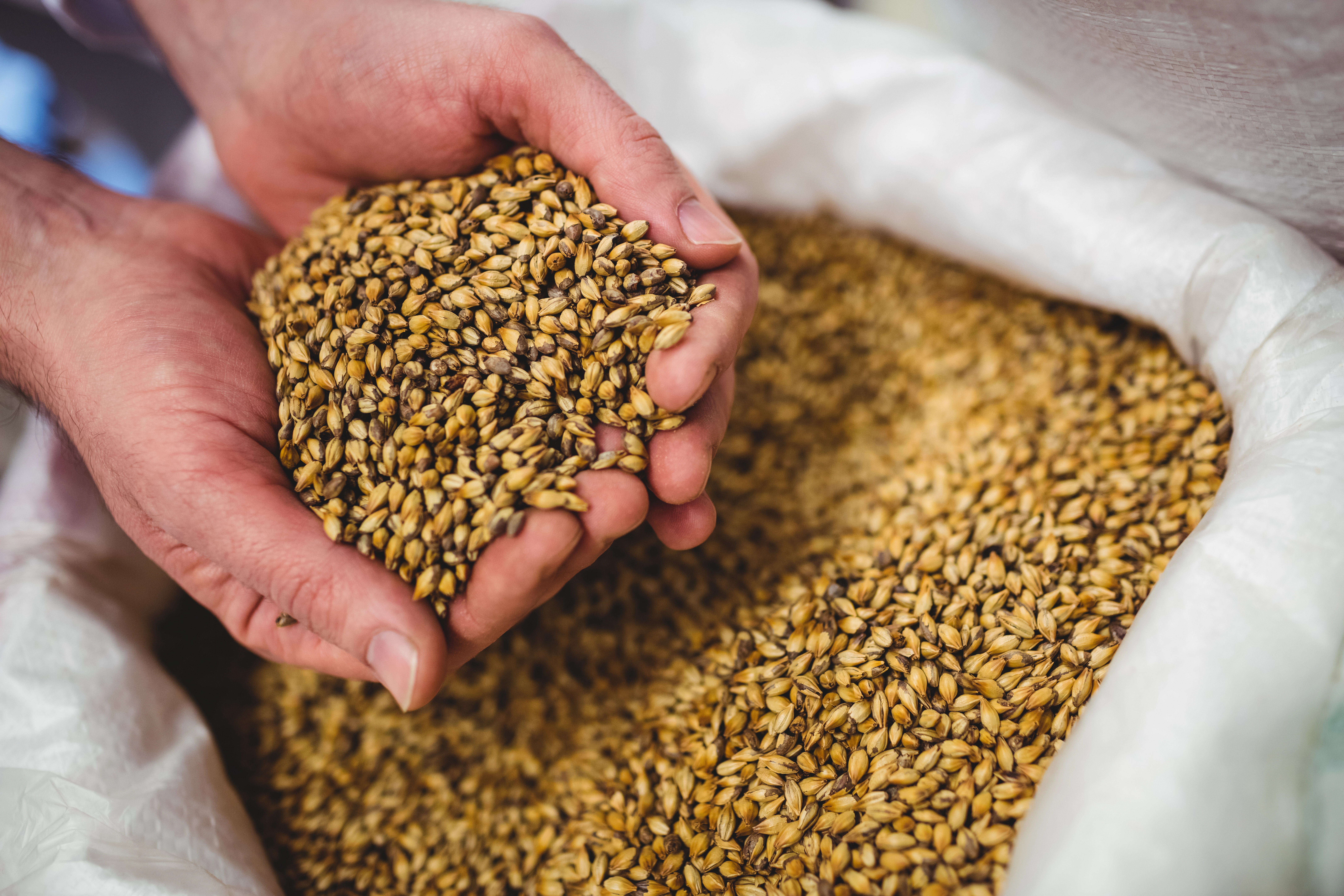Holding Grain