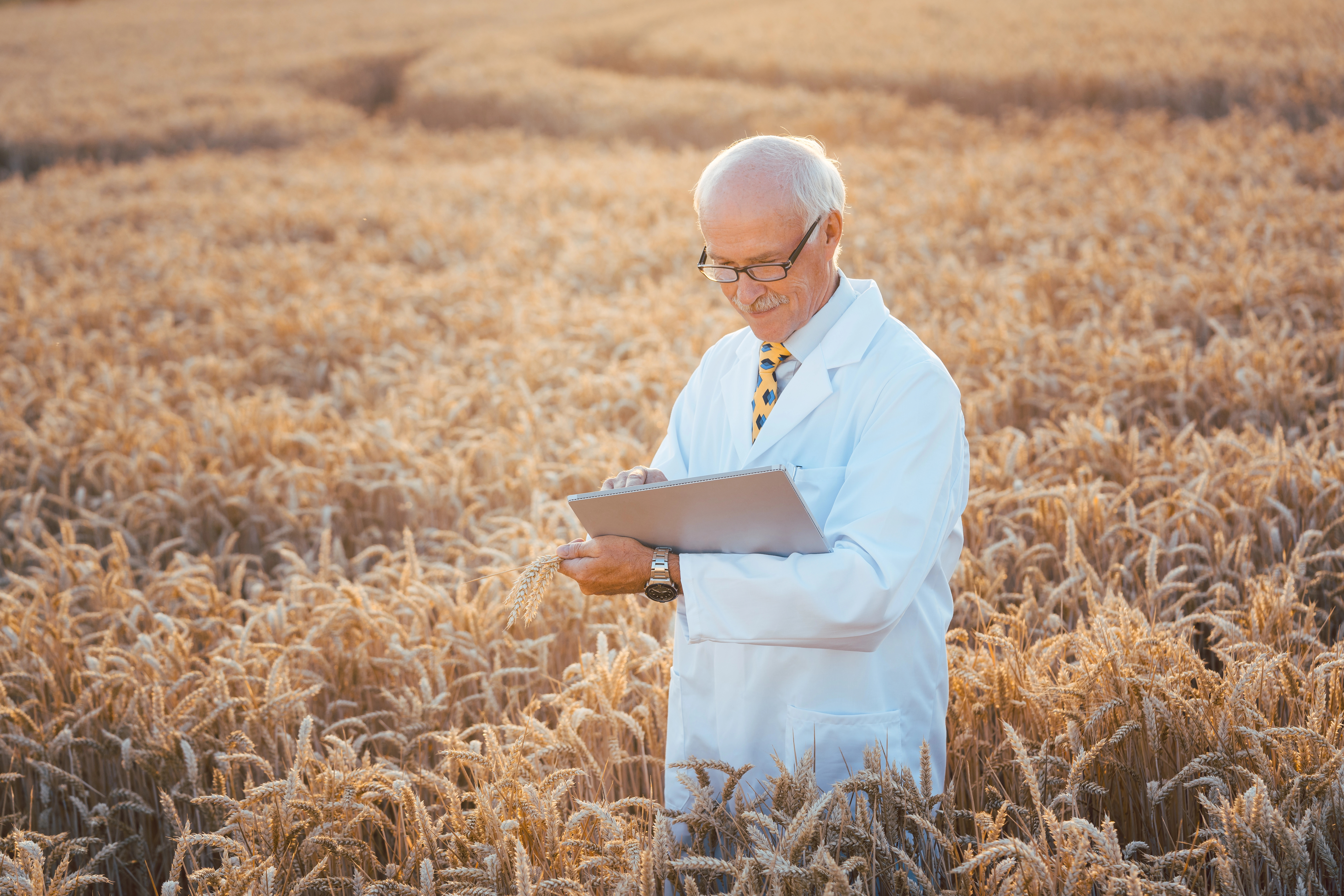 Scientist in field.
