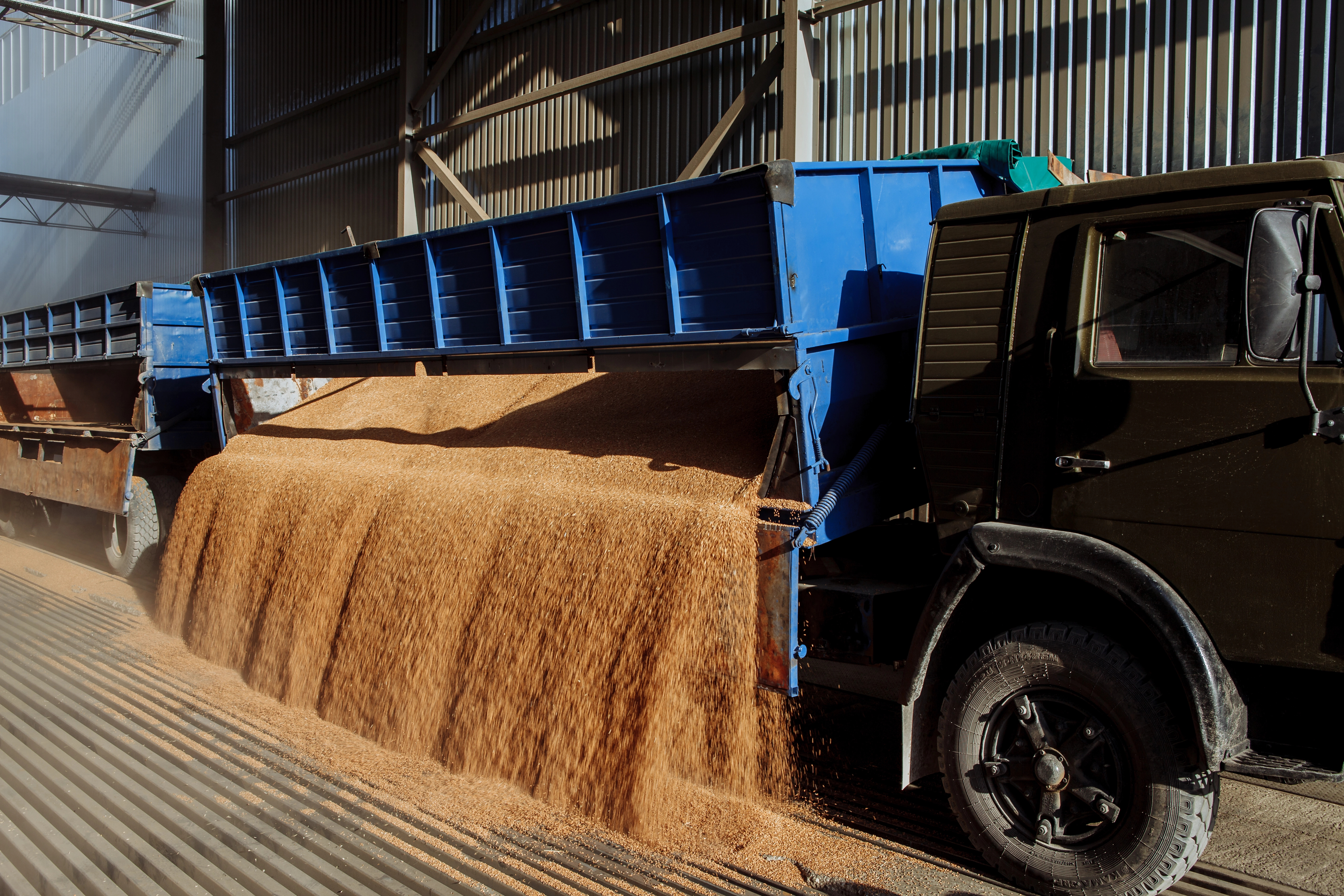 Unloading Grain