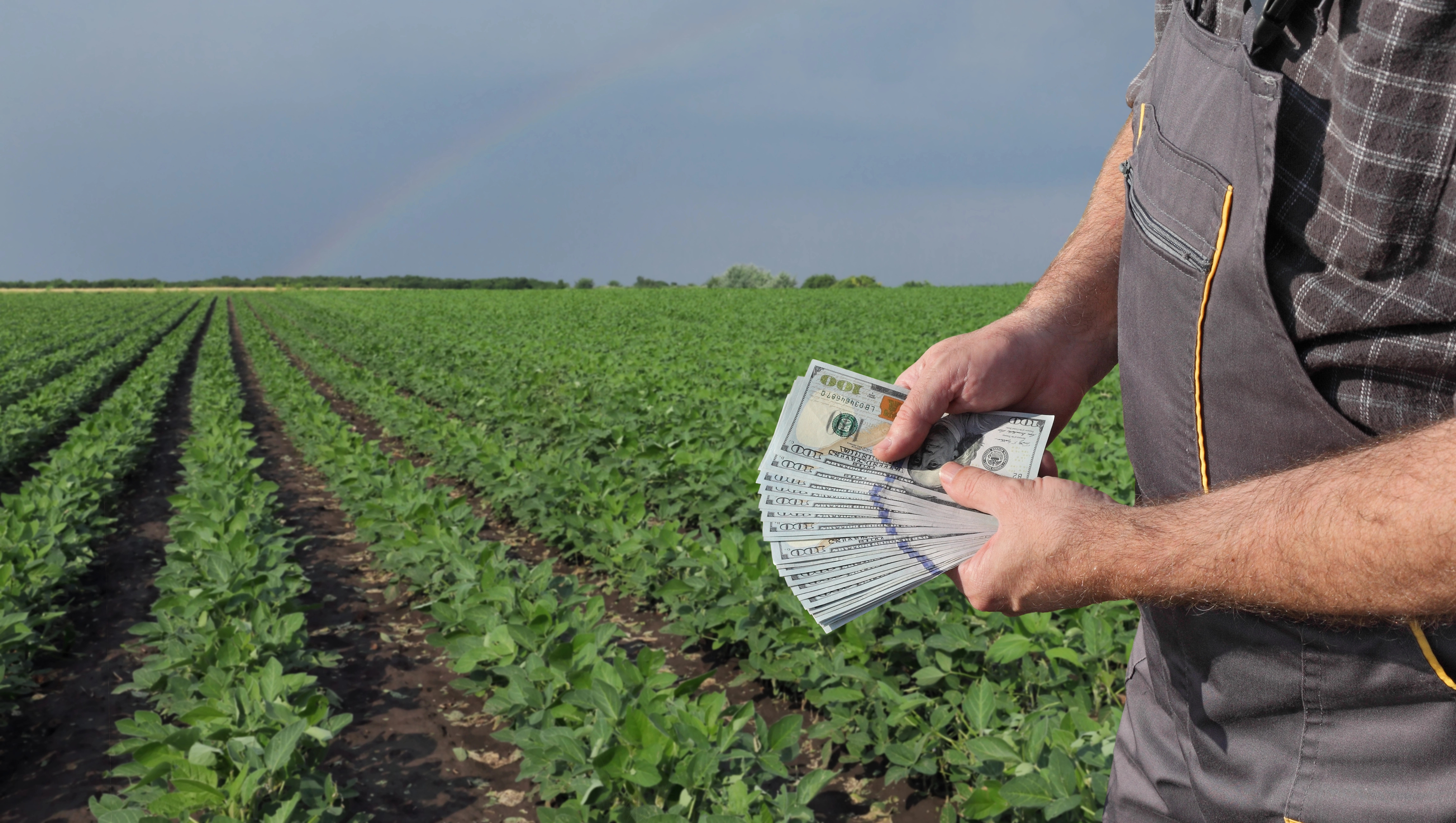 Farmer Money