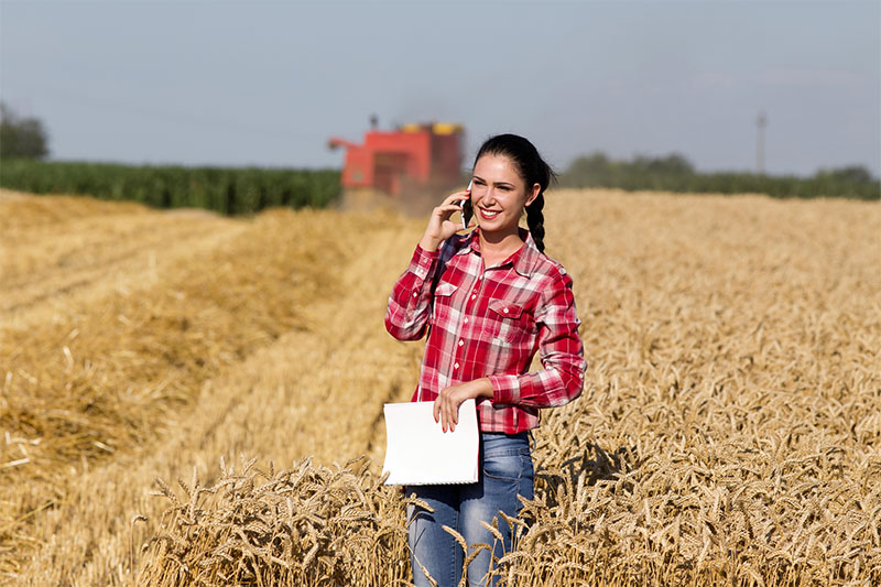 Farmer on the phone in a field